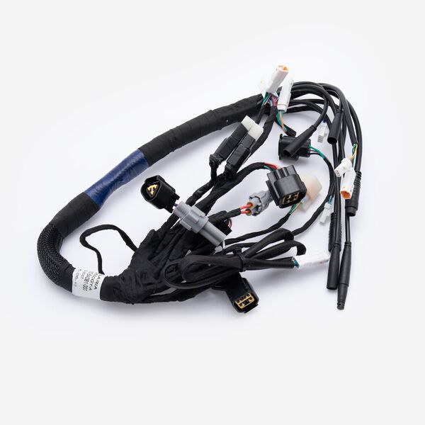 Wiring Loom