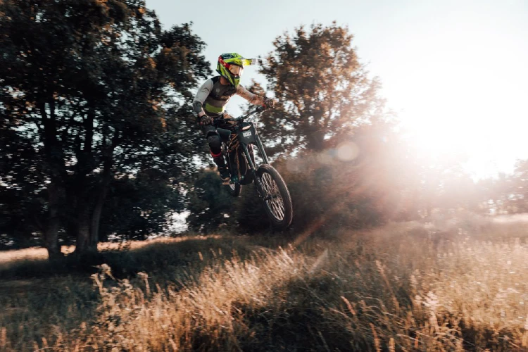 Talaria Sting Offroad Tailwhip